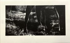 Ilya Kreines: Night Hedgehog - Steppe