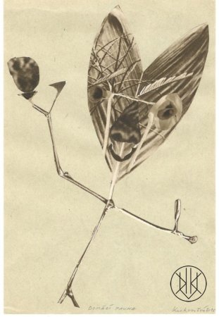 Michaela Kukovičová: Domácí Fauna II