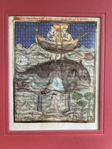 Single page - Alexander Diving (Facsimile)