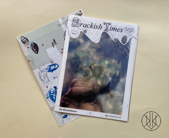 Brackish Times: The Daily Sea Monster Report of San Giovanni Li Cuti