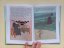Adventures on a Desert Island