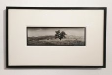 Josef Sudek - Palkovské Hůrky (Hukvaldy)