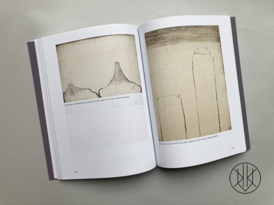 Růst a světlo tvarů / Aspekty díla Miloše Ševčíka