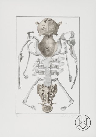 Jan Švankmajer: litografie z alba Kafka 100