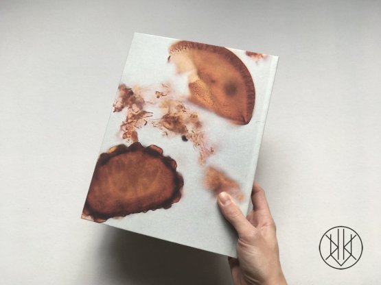 Hinterland: Archeologie severočeských pískovcových krajin