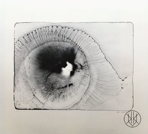 Petr Nikl: Oko