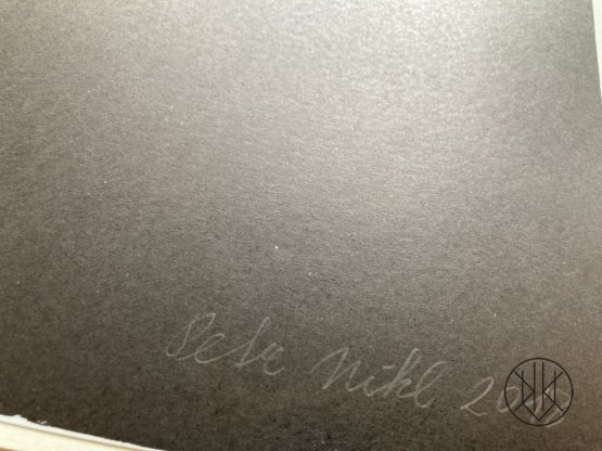 Petr Nikl: Hadí motýl