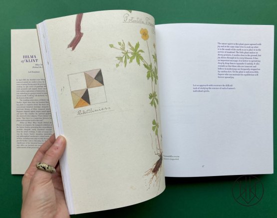 Hilma af Klint: What Stands Behind the Flowers