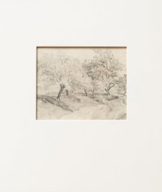 Jan Autengruber, Trees