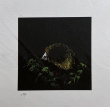 Ilya Kreines: hdghg