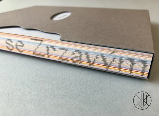 Setkání se Zrzavým