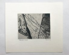 David Cajthaml - Karel Jaromír Erben, Svatební košile