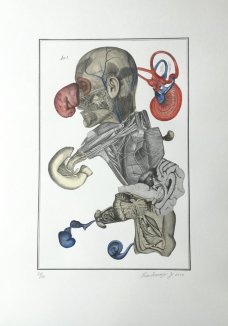 Jan Švankmajer: Bilderlexikon - Nesoustavná anatomie 6