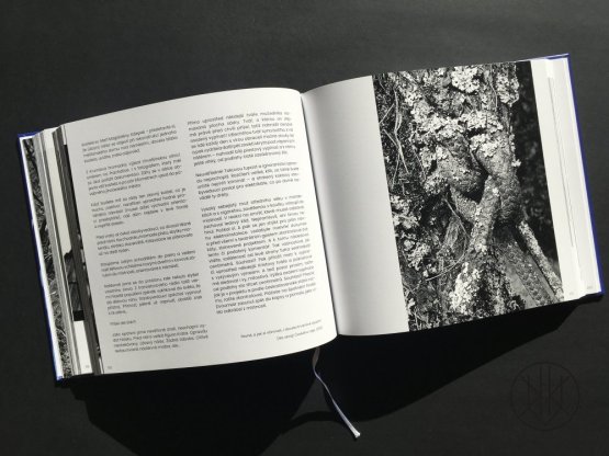 Václav Girsa: Jak se starým domem a jak ne