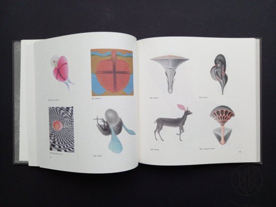 Petr Nikl: Grafika. Obrazový soupis 1980 - 2012