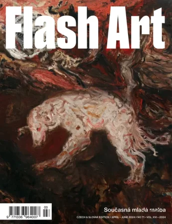 Flash Art #71