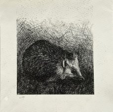 Ilya Kreines: Hedgehog