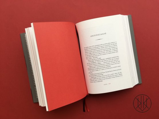 Toyen: První dáma surrealismu