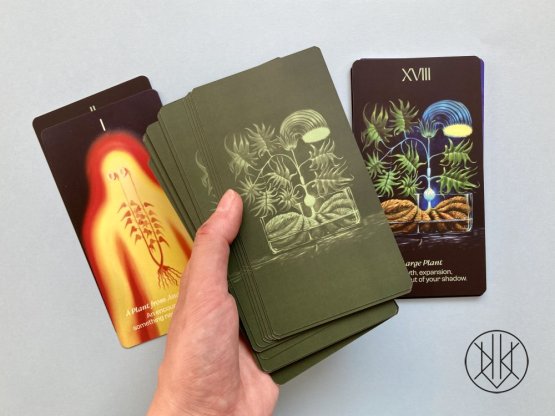 Klára Sedlo: Voynich Manuscript Oracle Cards
