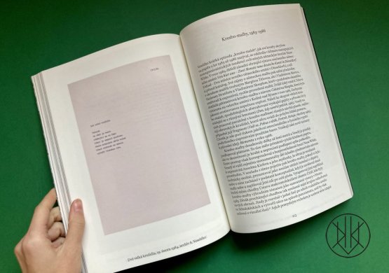 Aleš Veselý: Alešville