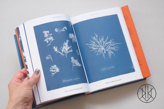 Anna Atkins: Cyanotypes