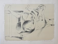 Eva Švankmajerová, Agrese, vůle, únava, 1994