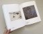 Lucian Freud: Drawing into Painting