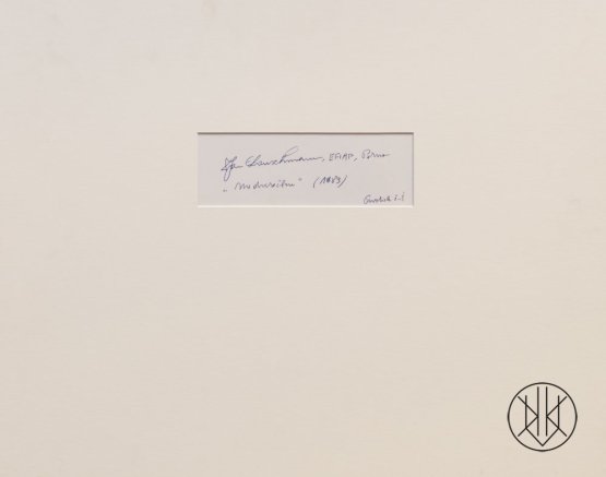 Jan Lauschmann - Na dvorečku