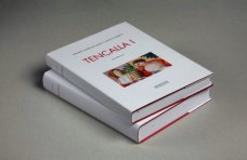 Tencalla I - II: Barokní nástěnná malba v českých zemích