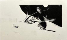 Ilya Kreines: Night Hedgehog - Desert
