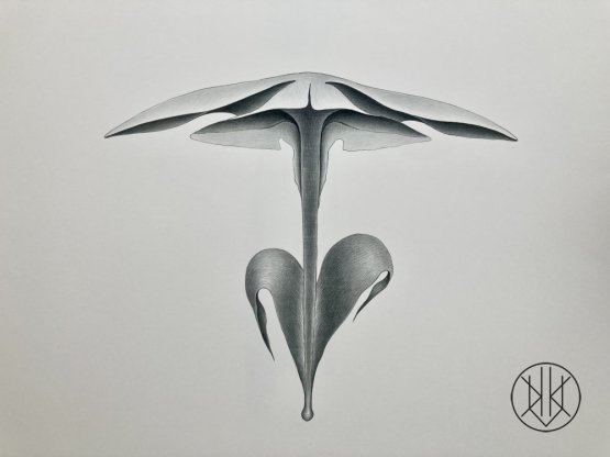 Petr Nikl: Placatý květ