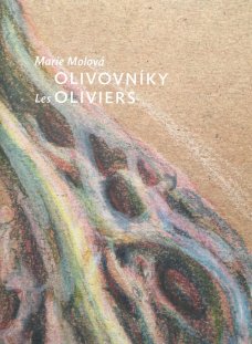 Olivovníky
