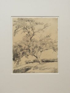 Jan Autengruber: The Tree