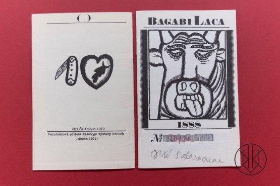 Jiří Šalamoun: Bagabi Laca