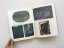 Silent Spring: Art and Nature 1930–1970