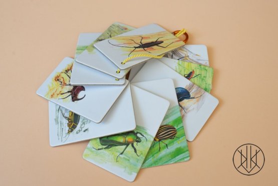 Brouci Kapesní atlas