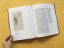 Through the Eyes of Franz Kafka: Between Image and Language