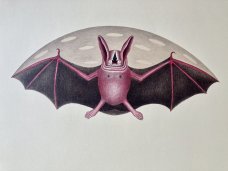 Petr Nikl: Letící netopýr