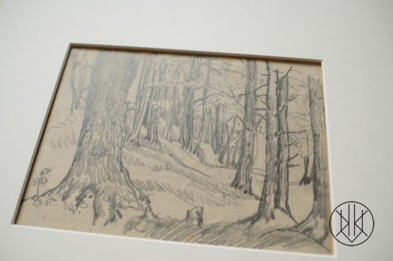 Jan Autengruber: A forrest