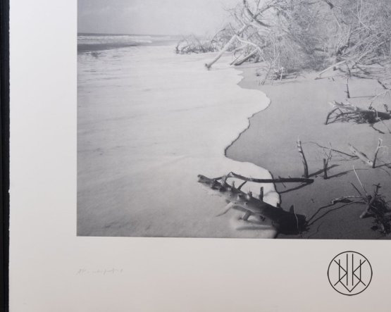 Jan Jedlička - Maremma, heliogravura
