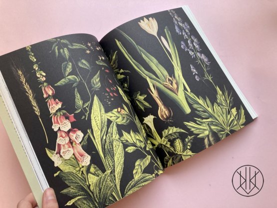 Bzukot školních zahrad