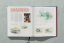 Tadao Ando - Sketches, Drawings and Architecture