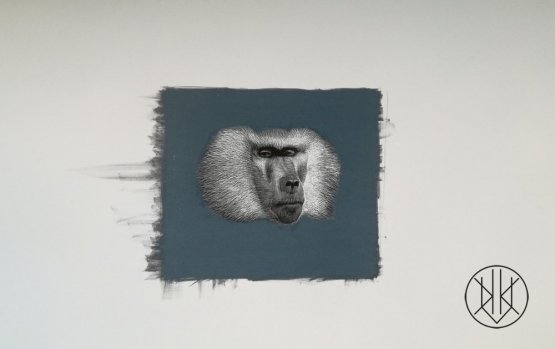 Petr Nikl: Opice