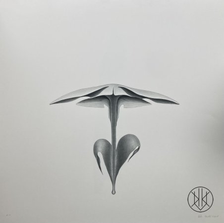 Petr Nikl: Placatý květ