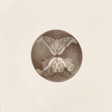 Petr Nikl: Atlas velký 4