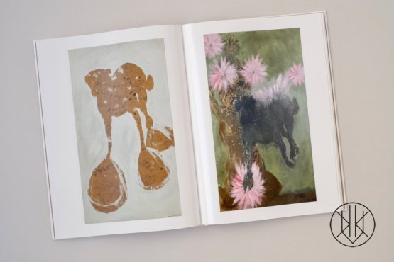Jiří Petrbok: Patient Diary
