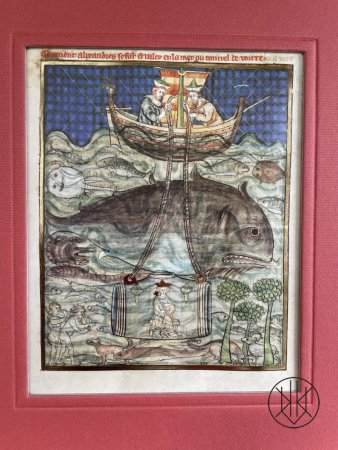 Single page - Alexander Diving (Facsimile)