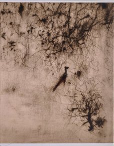 Bohuslav Reynek: Český moderní samotář