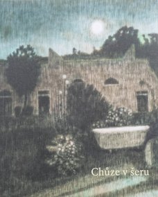 Alžběta Skálová: Chůze v šeru a jiné příběhy