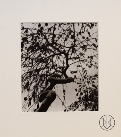 Jan Lauschmann - Strom